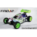 1/10th Scale Nitro off Road Buggy (Two Speed)